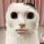 쌀빵