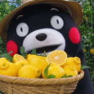 爱吃鱼的大脸猫