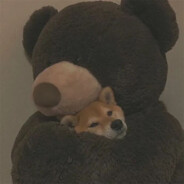 快吃饼干快长大