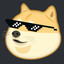 The Coolest Doge