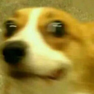 学过射箭所以击靶很硬