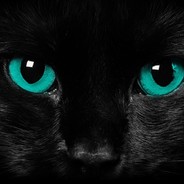 ♣♣MANTASS ♣♣