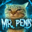 Mr. Penis