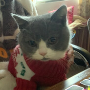 【二狗】挨打王