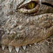 再不认真就完了