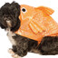 dOG.Fisherman