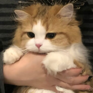 摸爬滚打读大学