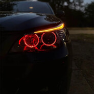 profile