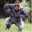 Gorilla Guy 96