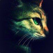 一无所有则毛都么有