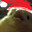 Chicken Nugger