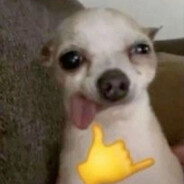 Mandarinka avatar