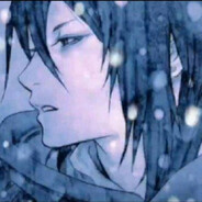 “回忆房东的猫”