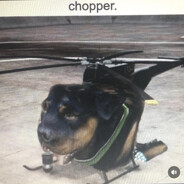 Chopper. avatar