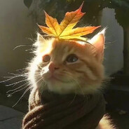 ⎛⎝LocustKitty⎠⎞