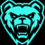 CS:GO BEAR