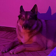 ndaloc