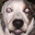 kato avatar