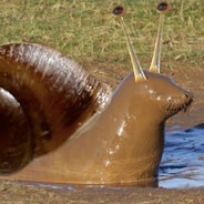 nadereksunderscoretwo