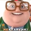 nektarynki