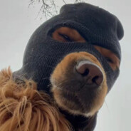 给你个大嘴巴子