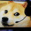 Dogefi3d