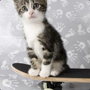 嘤嘤嘤人家是小学生呢