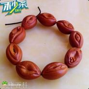 总遇到菜鸟是因为我更菜