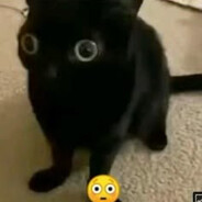 estebansglxd avatar