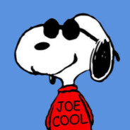 Joe Cool