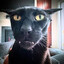 Katka