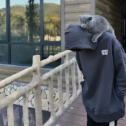 知.