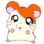 hamtaro