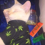 nuno.perry.strukoski