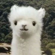 终究还是输给了彩礼