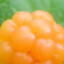 CloudBerry