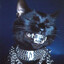 BlackCat