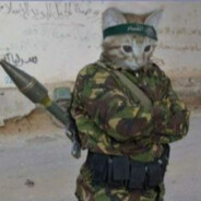 CatBazooka