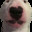 Walter avatar