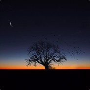 时间是把杀猪刀