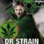 Dr. Strain