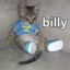 [F2P]billythekitten2009