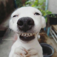 TIBURCIO - steam id 76561199020516354