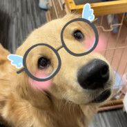 超厲害尼斯湖水怪