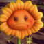 Sad sunflower