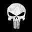 THE PUNISHER