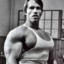 Arnold Power