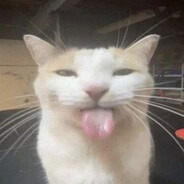 szvmek