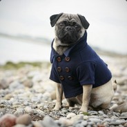 The Magical Dog avatar