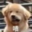 薄荷